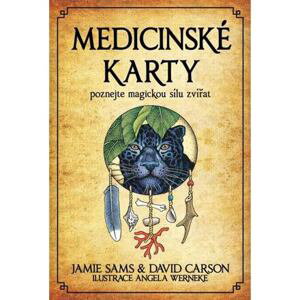 Medicinské karty - Poznejte magickou sílu zvířat - Kniha + 52 karet